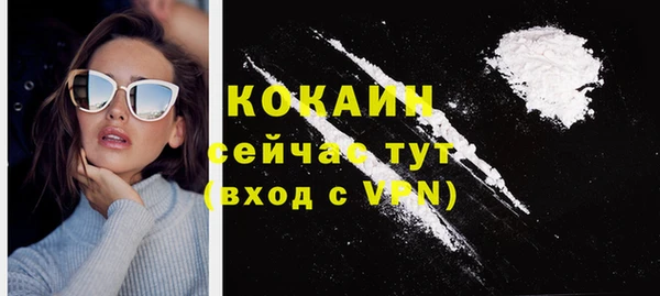 гашик Ельня
