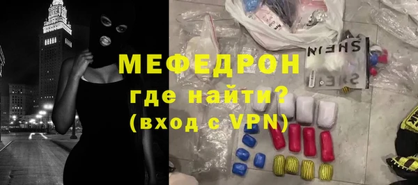 гашик Ельня