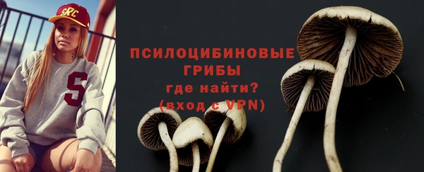 метамфетамин Елизово
