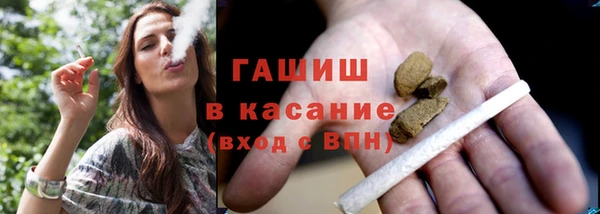 гашик Ельня