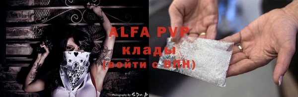 гашик Ельня
