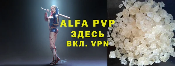 гашик Ельня
