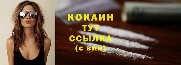 гашик Ельня