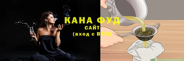 гашик Ельня