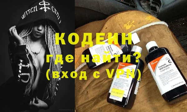 гашик Ельня