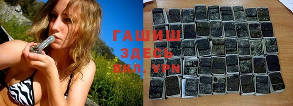 гашик Ельня