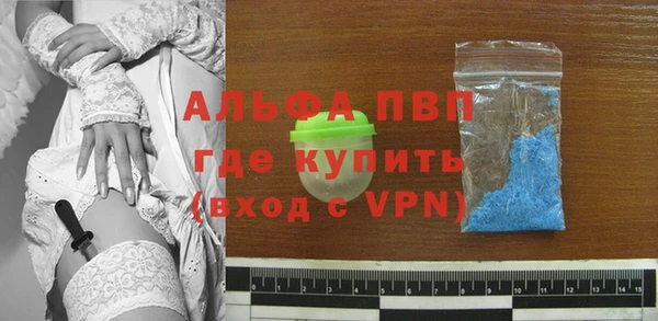 гашик Ельня