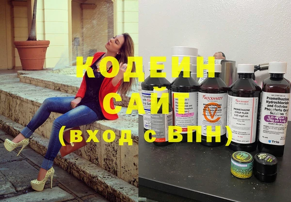 гашик Ельня