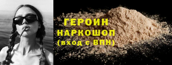 гашик Ельня