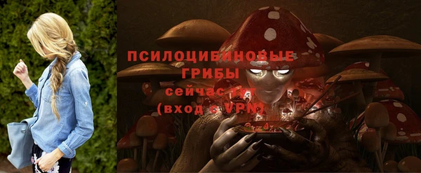 гашик Ельня