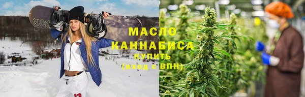 гашик Ельня