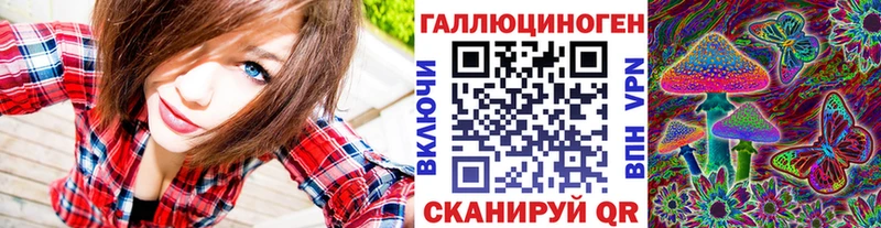 купить цена Зубцов Псилоцибиновые грибы GOLDEN TEACHER