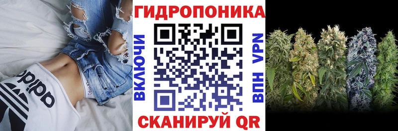наркошоп  Зубцов  Канабис LSD WEED 